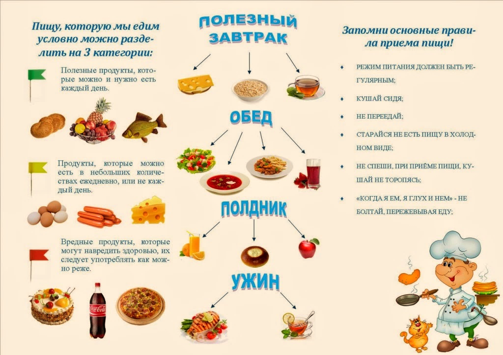 Информация об условиях питания обучающихся.